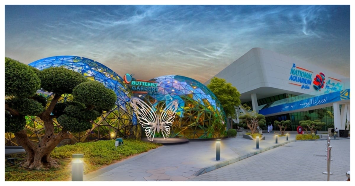 This is when Butterfly Gardens Abu Dhabi will open to the public