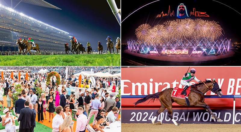 Your complete guide to the Dubai World Cup 2025