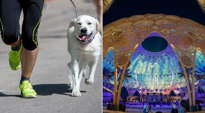 A pawsome obstacle challenge comes to Expo City Dubai this April