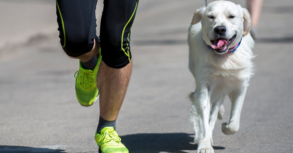 A pawsome obstacle challenge is heading to Expo City Dubai this weekend