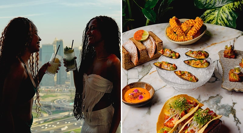 Jato: A hidden gem in Media City