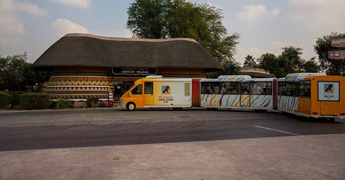 Final call: Dubai Safari Park's wild season ends this weekend!
