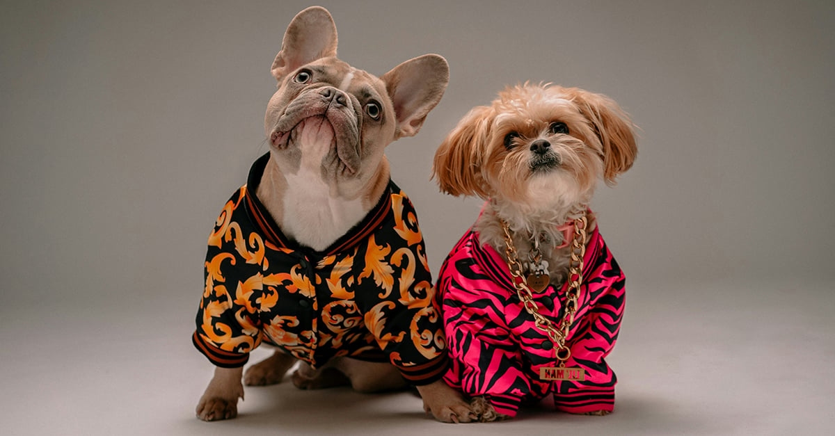 Get Dhs100 in Deliveroo credit if your dog is named after a food