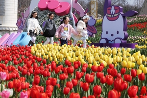 Spring blooms at Everland