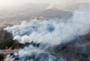 Not just climate, but local factors contribute to Korea's wildfire crisis