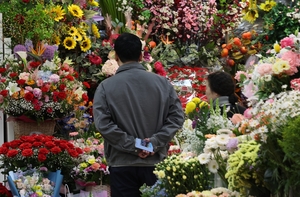 Flowers for parents