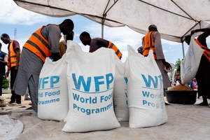 Over 600 malnourished children die in six months in Nigeria: MSF