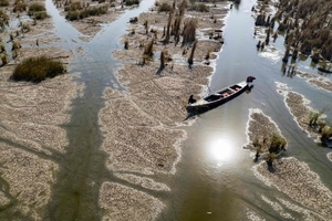Summer 2025 already a cavalcade of climate extremes