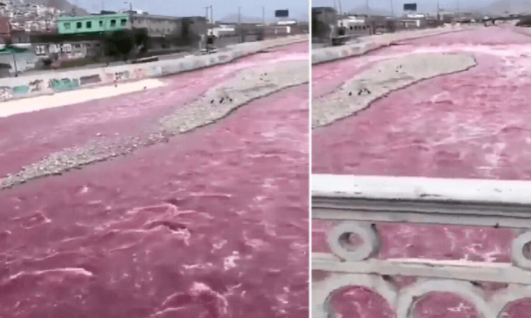نهر يتحول إلى اللون الأحمر.. ظاهرة غريبة تثير الذعر في بيرو (فيديو)