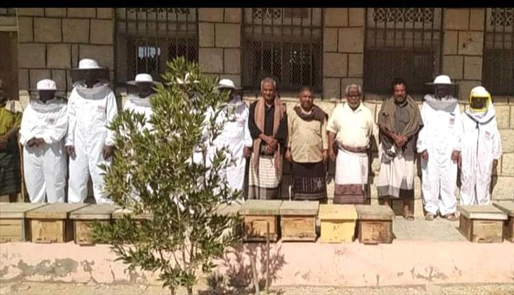 تدشين توزيع خلايا نحل للمستفيدين بشبوة