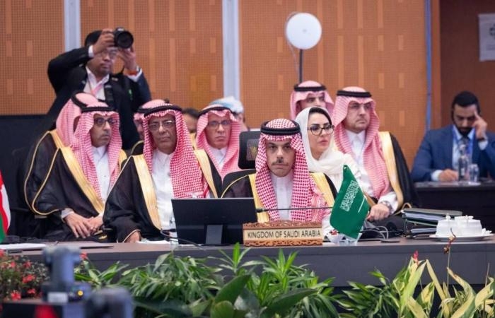 وزير الخارجية: نسعى لتسريع التحول نحو الطاقة المتجددة والاستفادة من الحزام والطريق