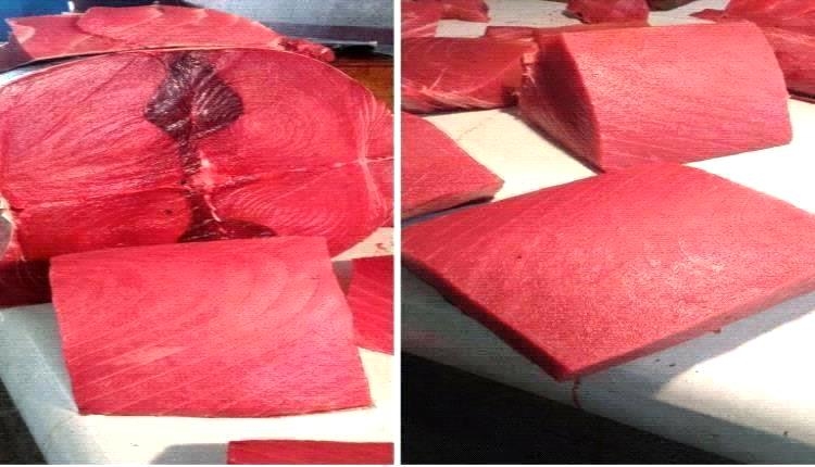 ارتفاع جنوني بأسعار سمك الثمد اليوم الأحد في عدن 20 يوليو 2025 م