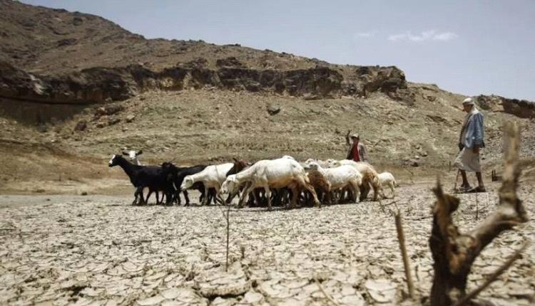 تقلبات المناخ وتراجع التمويل ينذران بمفاقمة الأوضاع المعيشية لليمنيين