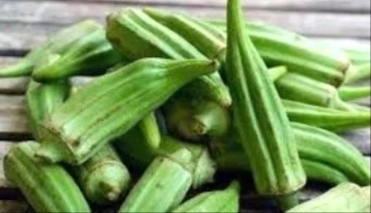 فوائد شرب ماء البامية صباحا.. منها إنقاص الوزن وضبط سكر الدم