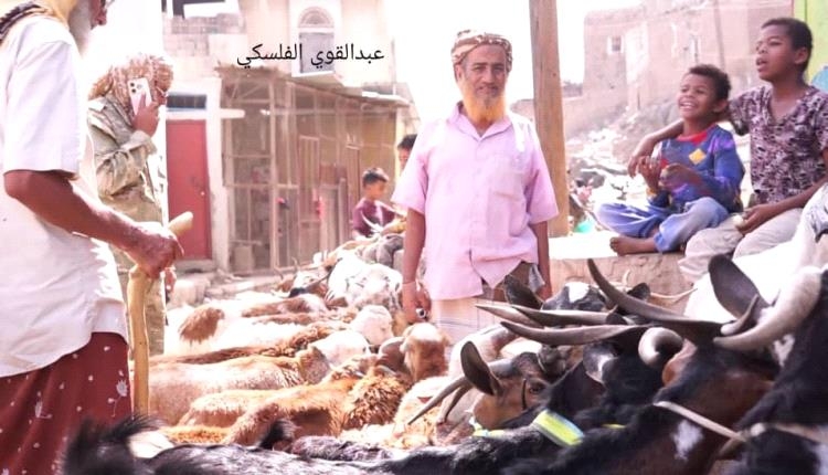 حرمان غالبية مواطني محافظة الضالع من شراء الأضحية .. لهذا السبب!صور