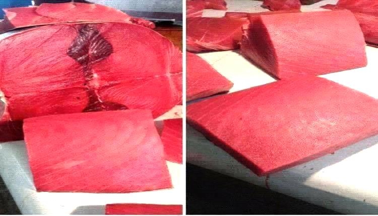 أسعار الأسماك اليوم الثلاثاء فى عدن 10 يونيو 2025م