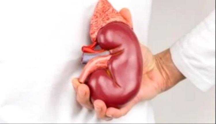 أعراض صامتة تدل على تلف الكلى وطرق الوقاية