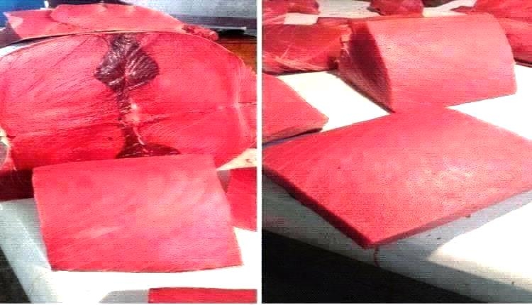 أسعار الأسماك اليوم الأحد فى عدن 22 يونيو 2025م