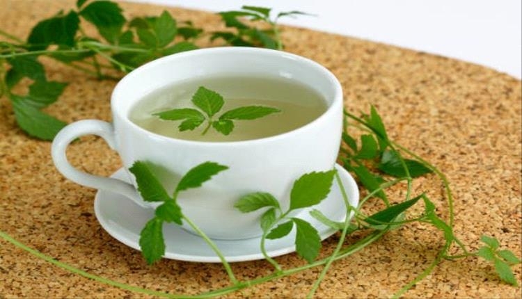 بمفعول أقوى من الشاي الأخضر 8 مرات.. عشبة الجياوجولان تدخل عصر الصحة الذكية
