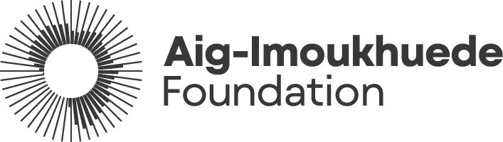 Shaping Africa's Public Service for Global Impact: A Critical Look at the AIG Public Leaders Programme