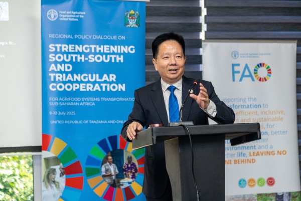 Africa: Countries unite to scale up South-South cooperation for agrifood systems transformation