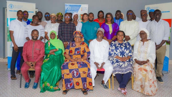 Strengthening Communication for Better Food Safety in Senegal