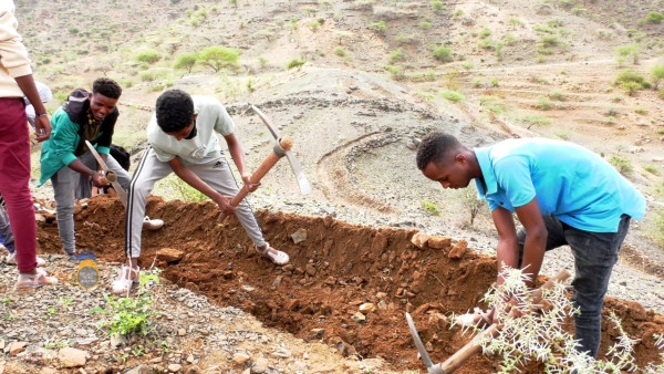 Eritrea: Commendable Progress in Students' Summer Work Program