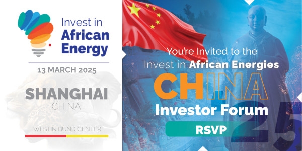 G20's Impact on African Regional Energy Development: A Focus on China