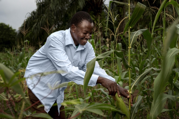 Turning the Tide: Democratic Republic of Congo's Emergency Food Production Project Sows Resilience, Plants Hope