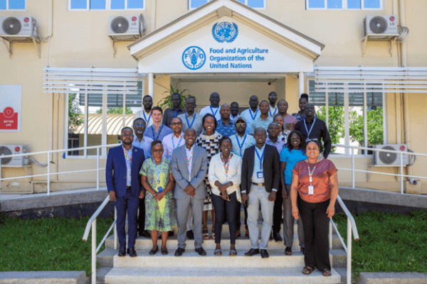 Food and Agriculture Organization of the United Nations (FAO) South Sudan Hosts Peer Review Meeting on Resilience Interventions in Seed Systems