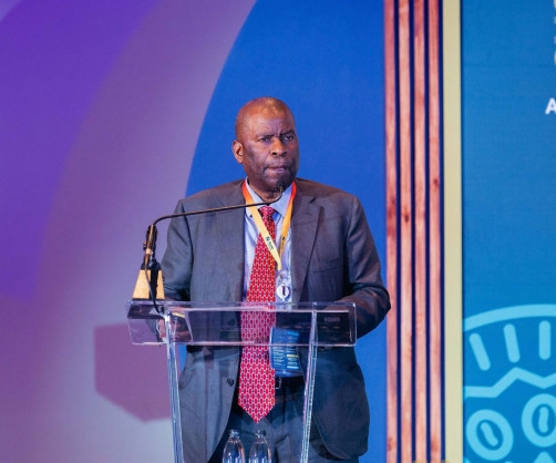 Mozambique's Mineral and Energy Minister Joins African Energy Week (AEW) 2025 as Major LNG Projects Advance