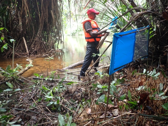 Vestergaard formalizes Tiny Targets commitment to support sleeping sickness elimination, signs Kigali Declaration on World Neglected Tropical Disease (NTD) Day
