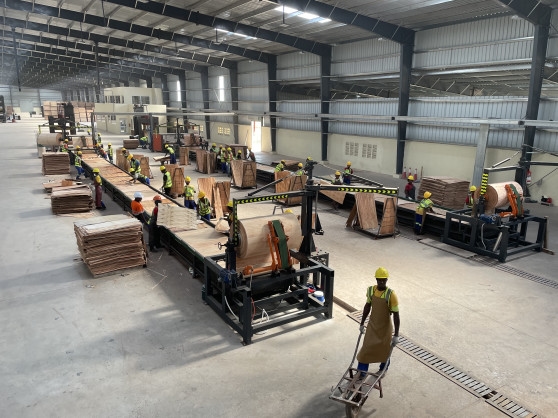 Verdant IMAP Advises Miro Forestry & Timber Products ("Miro") on its Equity Raise