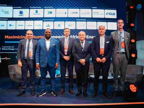 Africa's Liquefied Natural Gas (LNG) Growth Hinges on Investment, Strategic Partnerships