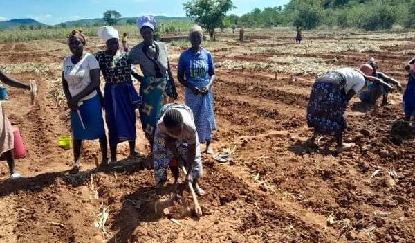 Empowering voices, cultivating resilience: Farmer Field Schools transform lives in Zimbabwe's Sebungwe Landscape