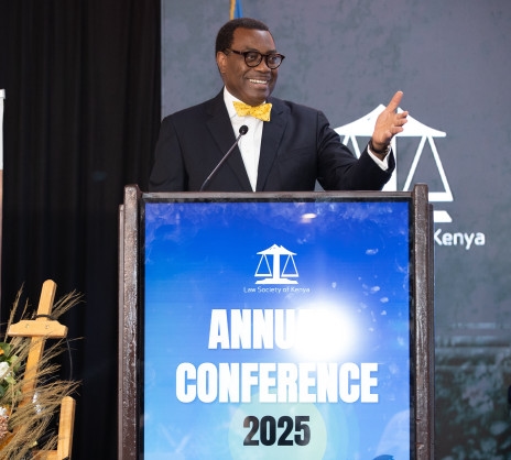 Rule of law is Africa's new gold: African Development Bank Group's (AfDB's) Adesina calls for bold legal and governance reforms to unlock prosperity