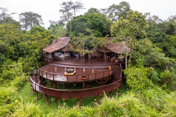 A new model of forest management emerges in the Congo Basin