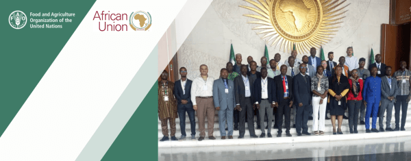 Building skills to track progress on strengthening resilience across Africa