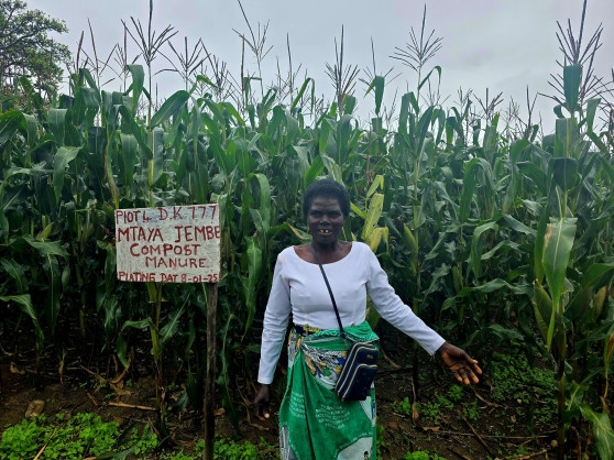 Bridging the gap between research and extension to promote adoption of sustainable land and water management practices in Malawi