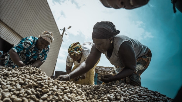 The African Development Bank approves an investment of US$100 million in Arise Integrated Industrial Platforms Limited.