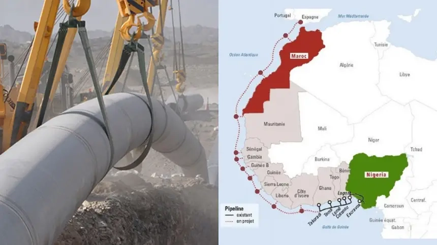 مشروع الأنبوب المغربي يربك خصوم المملكة.. الإمارات تدعم بقوة أنبوب الغاز نيجيريا-المغرب وسط صدمة في الجزائر!