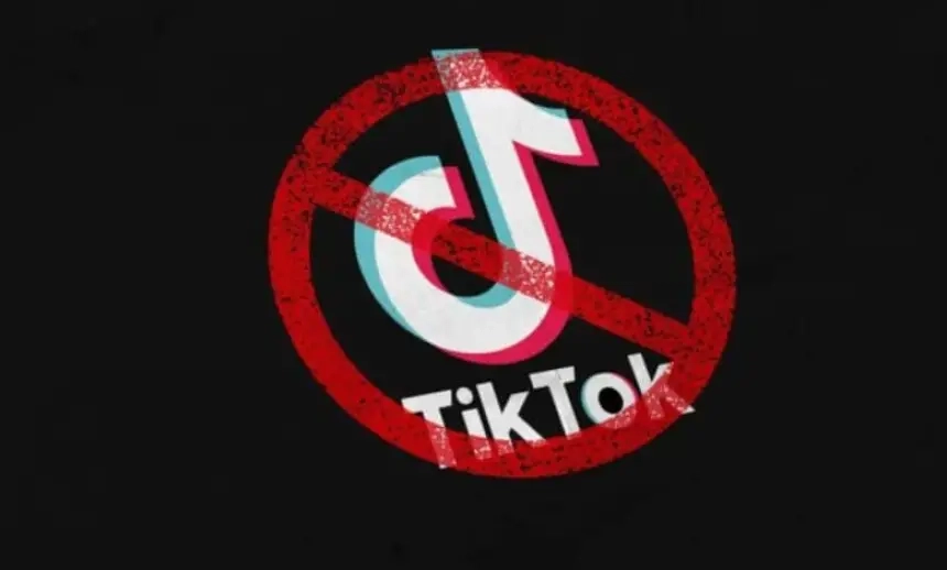 ترامب يحث المحكمة العليا على تأجيل قرار حظر TikTok في الولايات المتحدة
