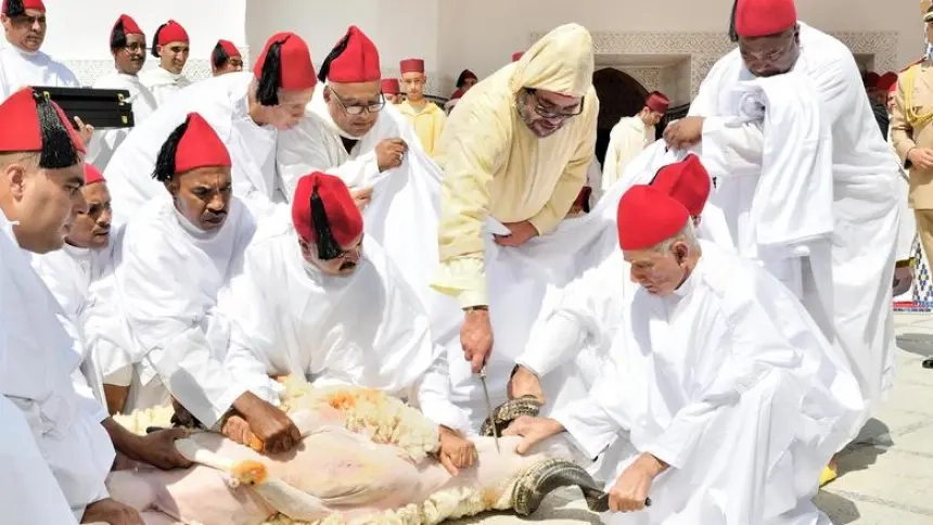 بنكيران يدخل على خط "اللهطة على الحولي" وهذا ما طالب به المغاربة