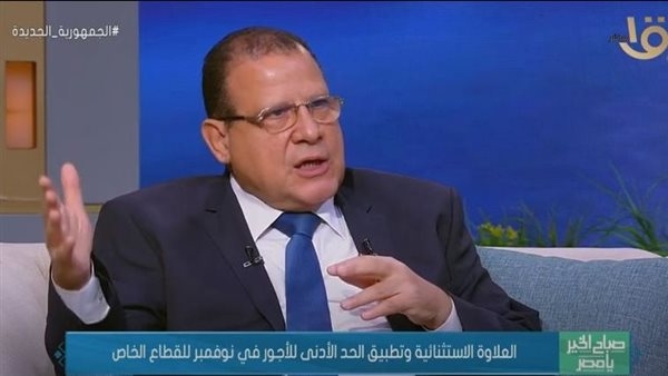 كيف تراقب الدولة تنفيذ شركات القطاع الخاص الحد الأدنى للأجور؟.. فيديو