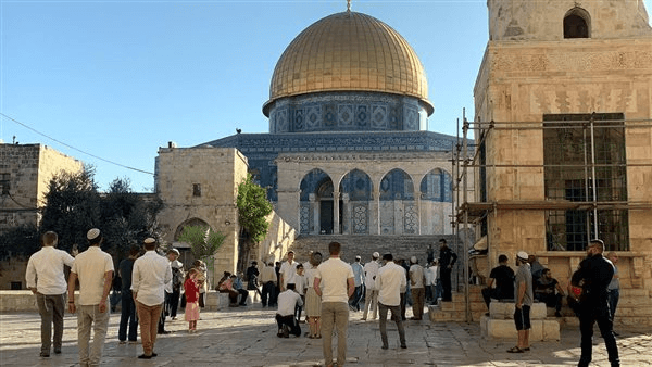 بالفيديو.. متحدث محافظة القدس: ندين الإجراءات والممارسات الإسرائيلية في المسجد الأقصى