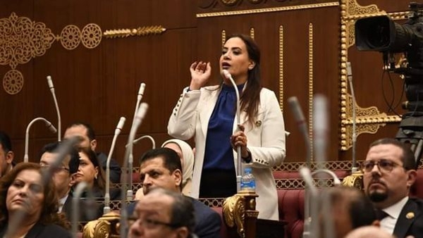 راجية الفقي تستعرض طلب مناقشة بشأن تمكين شركات الأمن السيبراني الناشئة