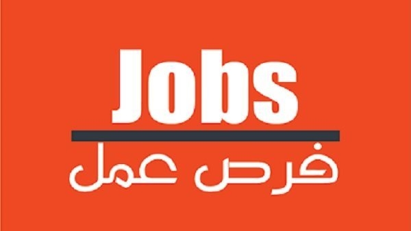 براتب 1500 يورو.. وظائف خالية في مصر اليوم