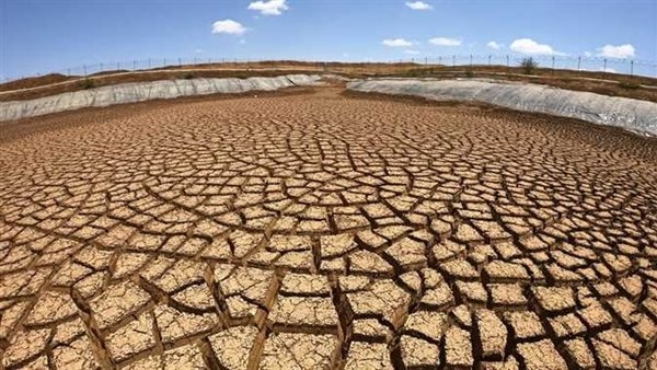 "أفريقيا نيوز": الجفاف يضرب الزراعة شمال غربي نيجيريا نتيجة لتغير المناخ