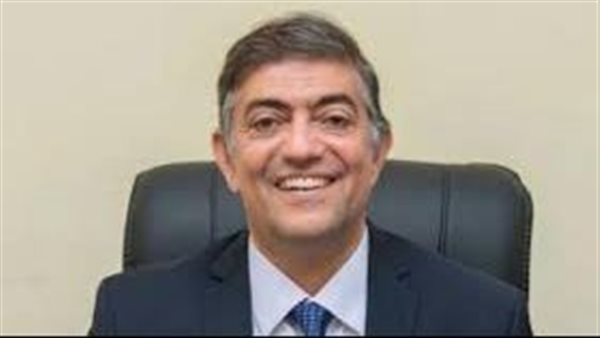 الإصلاح والنهضة: العلاقة بين مصر والإمارات شراكة استراتيجية قائمة على الثقة والمصالح المتبادلة