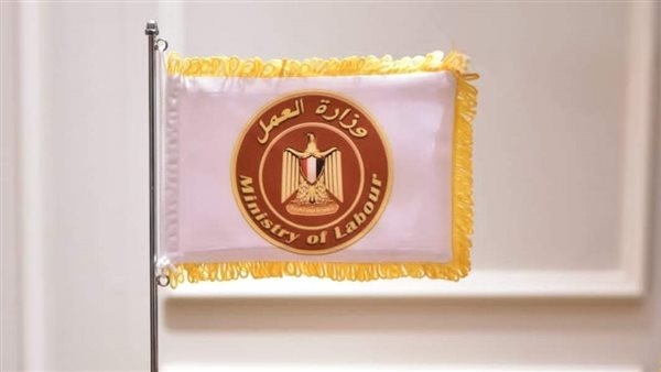 فيديو وانفوجراف.. حصاد وزارة العمل خلال 7 أيام